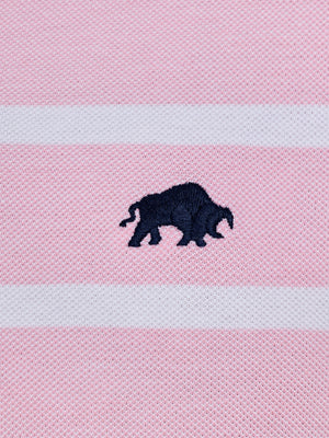 Birdseye Stripe Pique Polo - Pink