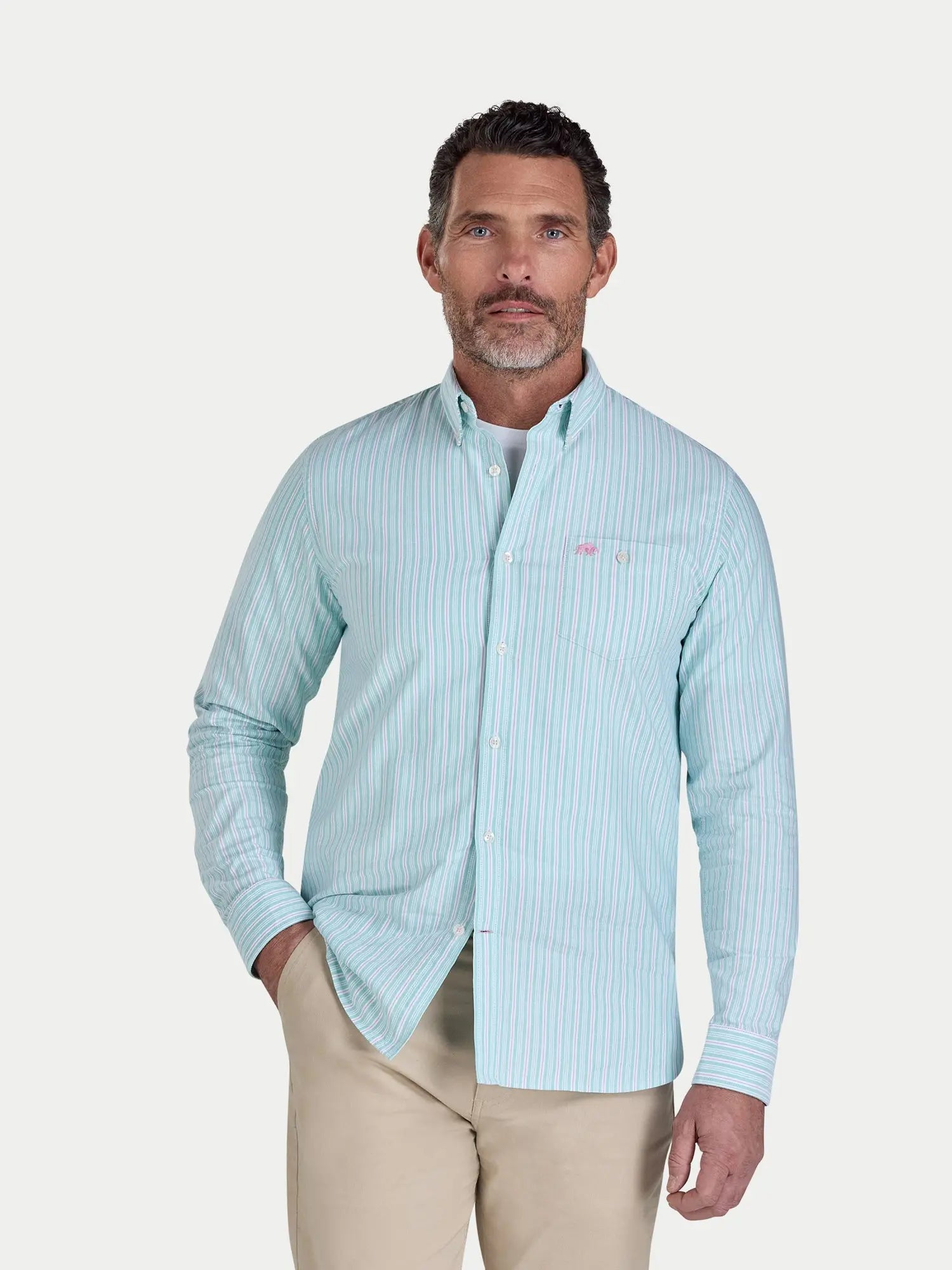 Men's Long Sleeve Stripe Oxford Shirt in Green | Raging Bull Clothing