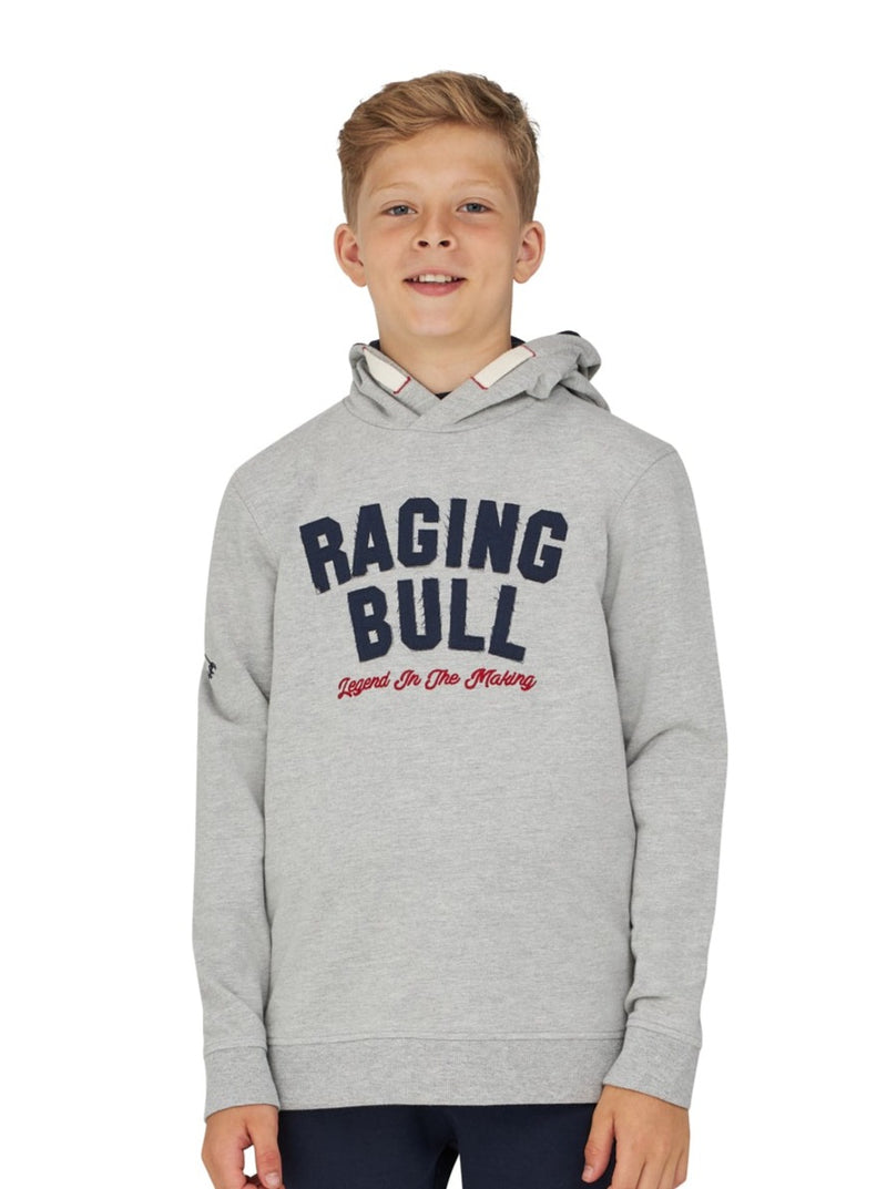Legend in the Making Applique Hoodie - Grey Marl