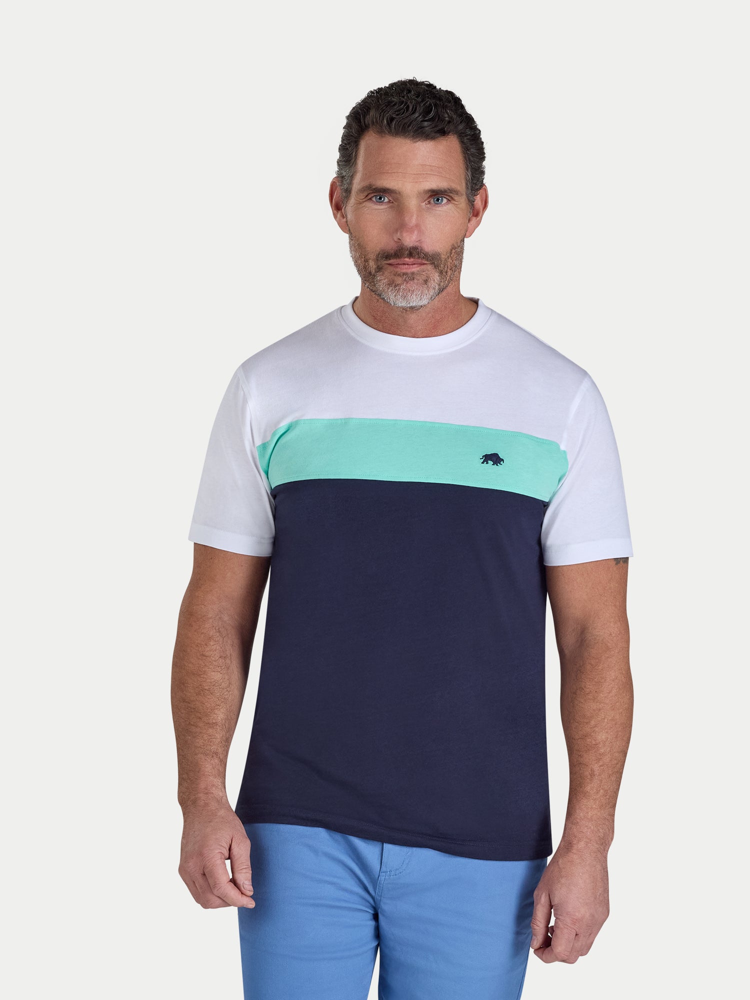 Man wearing a white and navy blue t-shirt with a green stripe on a white background