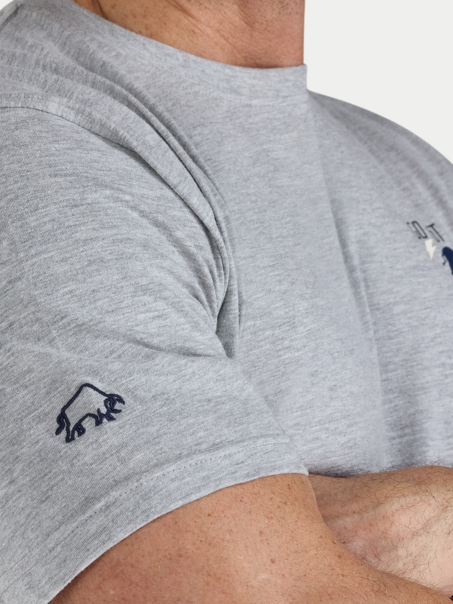 Gray t-shirt with small logos on the sleeves worn by a person