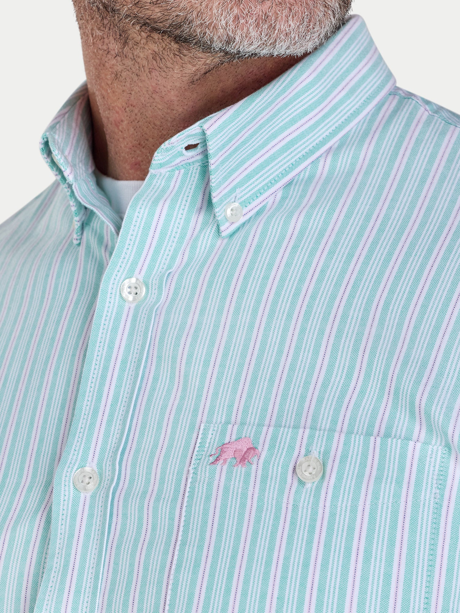 Close-up of a person wearing a light blue striped shirt with a small logo on a white background