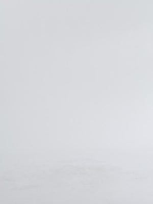 Classic Chino Trouser - Berry