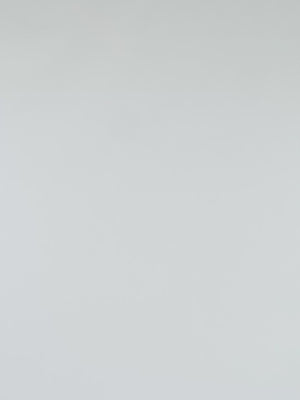 Classic Organic Polo - Forest