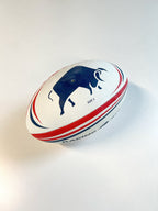 Raging Bull rugby ball on a white backround