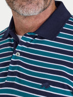 Close-up of a man wearing a blue and green striped polo shirt with a collar.