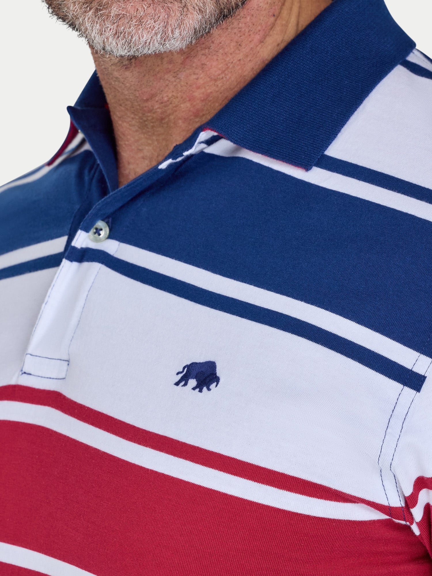 Close-up of a person wearing a blue, white, and red striped polo shirt with a logo on the chest.