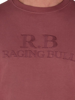 Rb Stitch Crew Neck Sweat - Rose